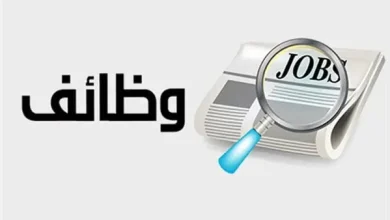وظائف اللغة الصينية